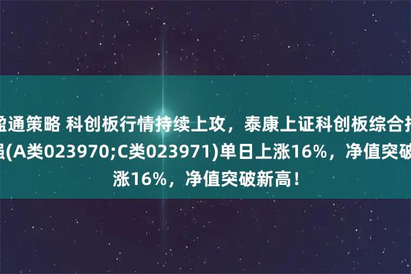 盈通策略 科创板行情持续上攻，泰康上证科创板综合指数增强(A类023970;C类023971)单日上涨16%，净值突破新高！