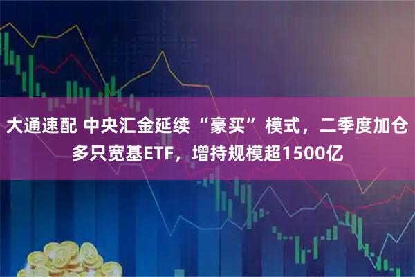 大通速配 中央汇金延续 “豪买” 模式，二季度加仓多只宽基ETF，增持规模超1500亿