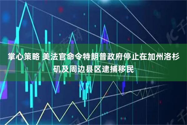 掌心策略 美法官命令特朗普政府停止在加州洛杉矶及周边县区逮捕移民